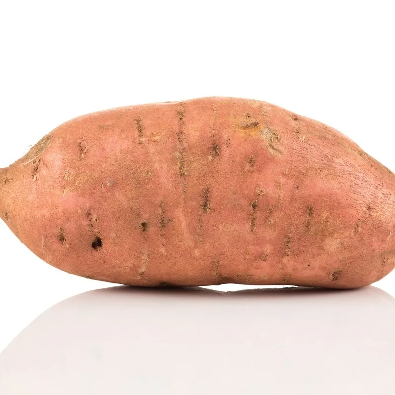 fresh potato seed price in China/potato wholesale price/sweet