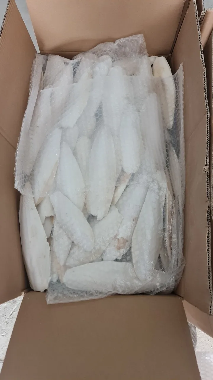 Unbleached Dried Cuttlefish Bone Mineral For Birds And Reptiles Bird Food Clean Trimmed Cuttlebone Vietnam Ossa Sepia