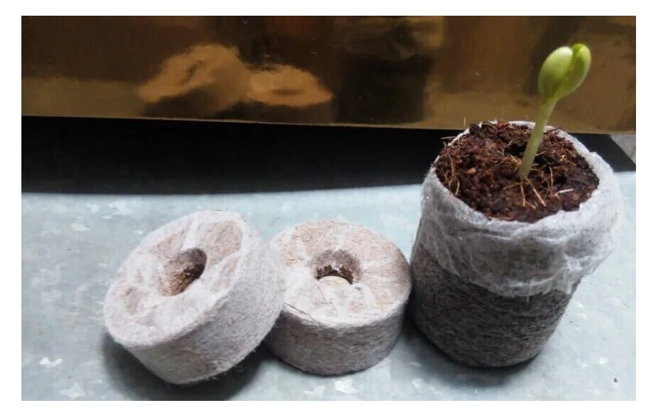 Sustainable Coconut Fiber Pellet/ Coconut Peat To Grow Netted Seed Starting Pellets Coconut Tablets From Vietnam