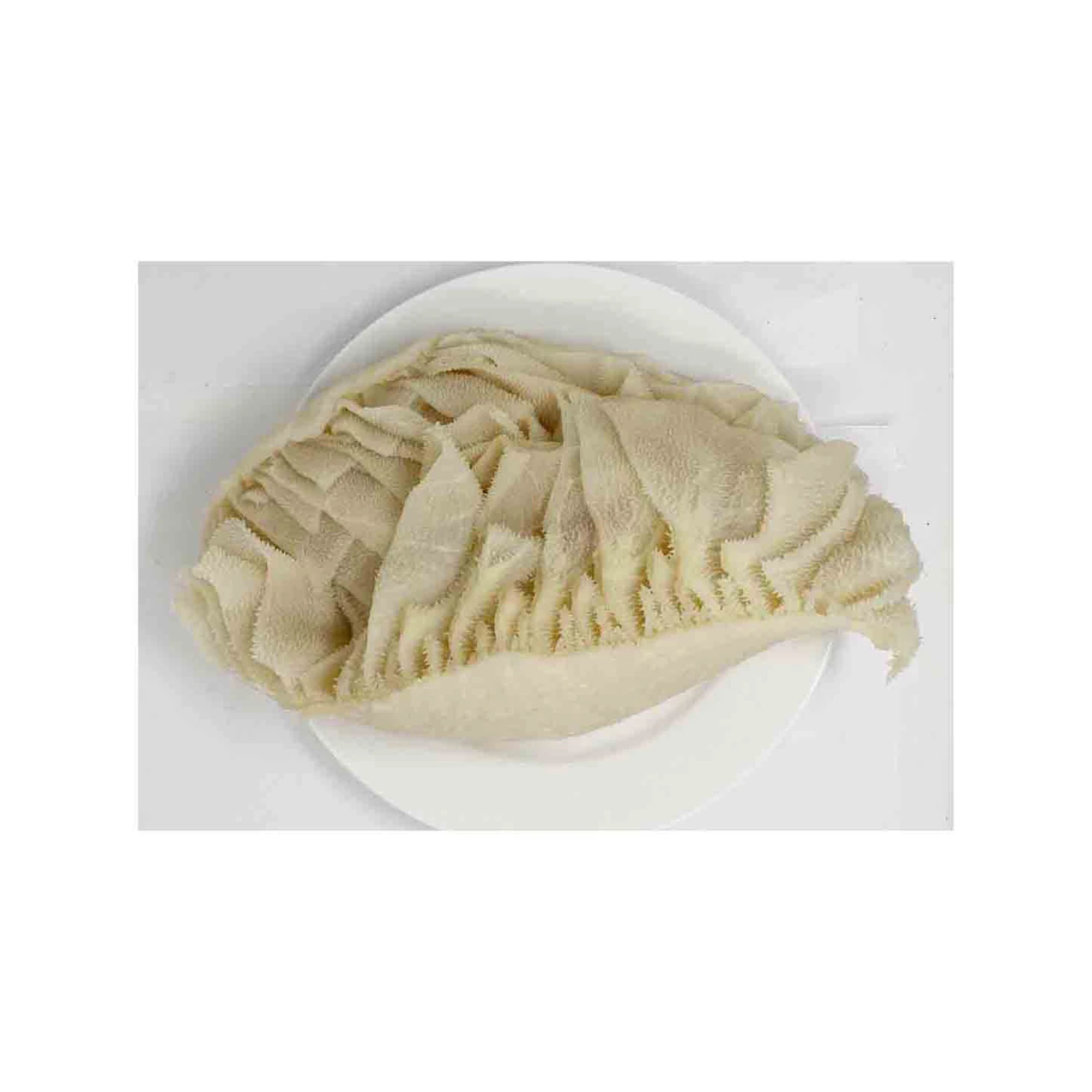 Salted & dried frozen & fresh omasum / beef meat omasum , High Quality Omasum / Omasum Suppliers from France