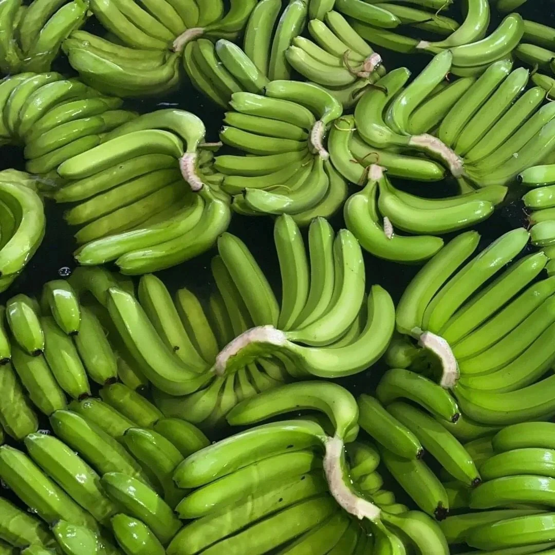 Cavendish Banana Green Tropical Fruit Fresh Style Ready To Export 100% Natural Organic Food Wholesale From Vietnam Manufacturer