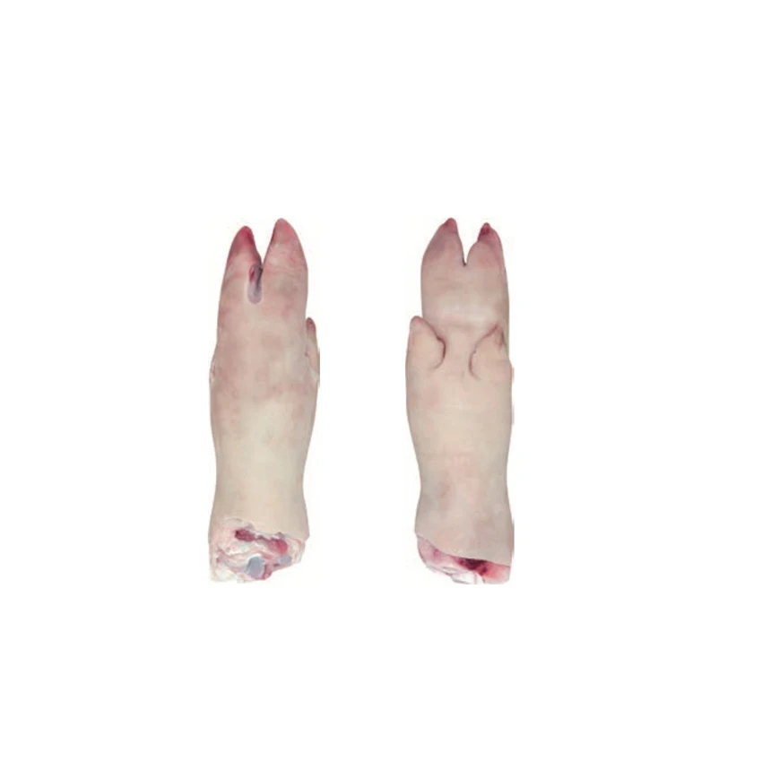 Nutritious 24 Months Top Roast Poultry Products Sale Frozen Meat Pork Front Feet Supplier From Brazil