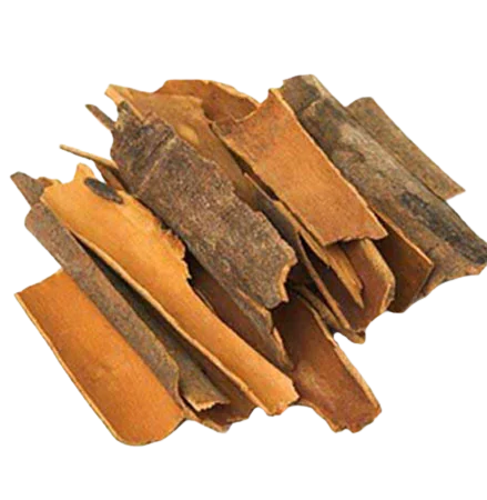 Buy Fully Organically Made Cinnamon For Multi Type Uses High Grade Cinnamon Manufacture in India Low Prices