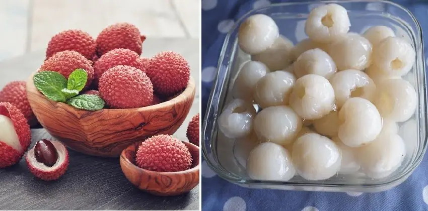 Export Products Lychee In Fruit Syrup Canned Private Label Lychee In Fruit Syrup Vietnamese OEM/ODM Packaging