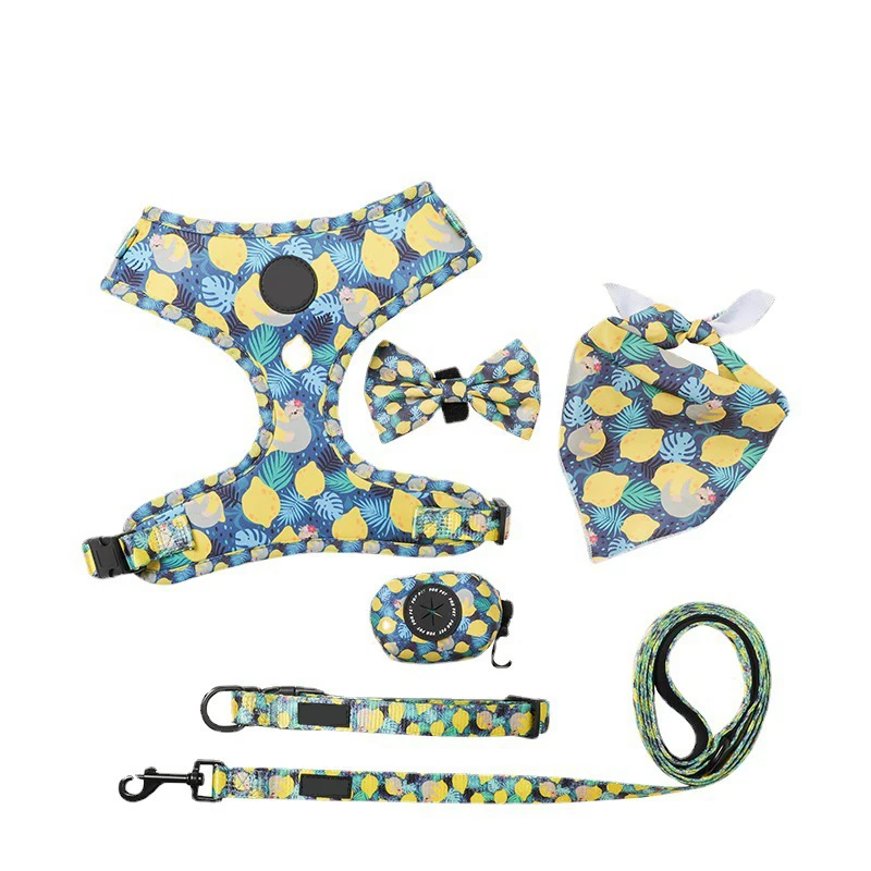Custom Print Design Logo Personalized No Pull Neoprene Pet Dog Harness Leash Lead Collar Set and Collar