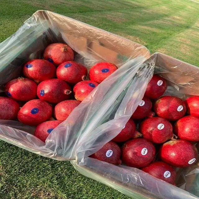FRESH POMEGRANATE 2022 WITH LOW PRICE