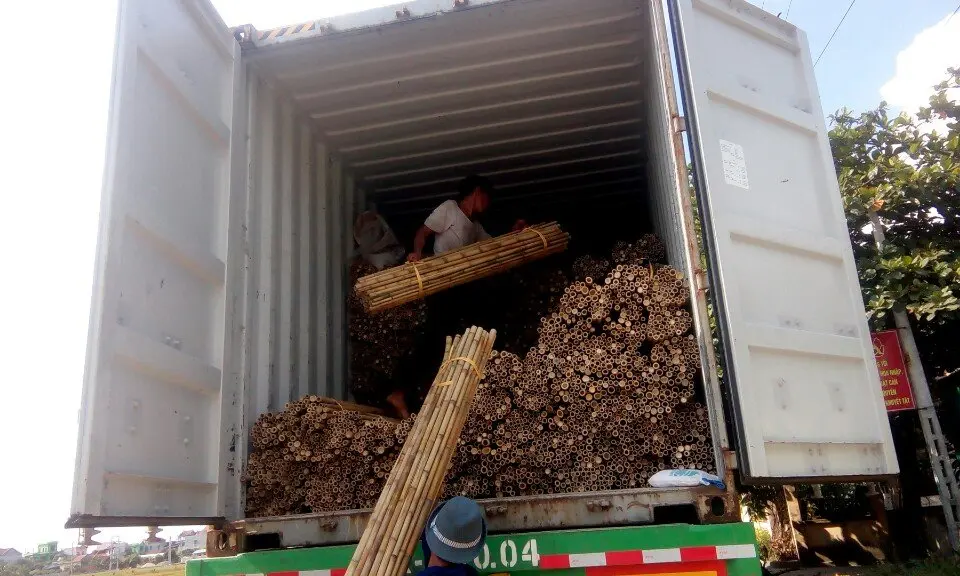 Лидер продаж прочный вьетнамский завод и 100% Сырье бамбуковый шест с индивидуальным размером