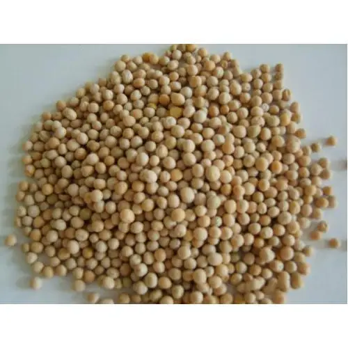 Bio DAP Fertilizer 7.jpg