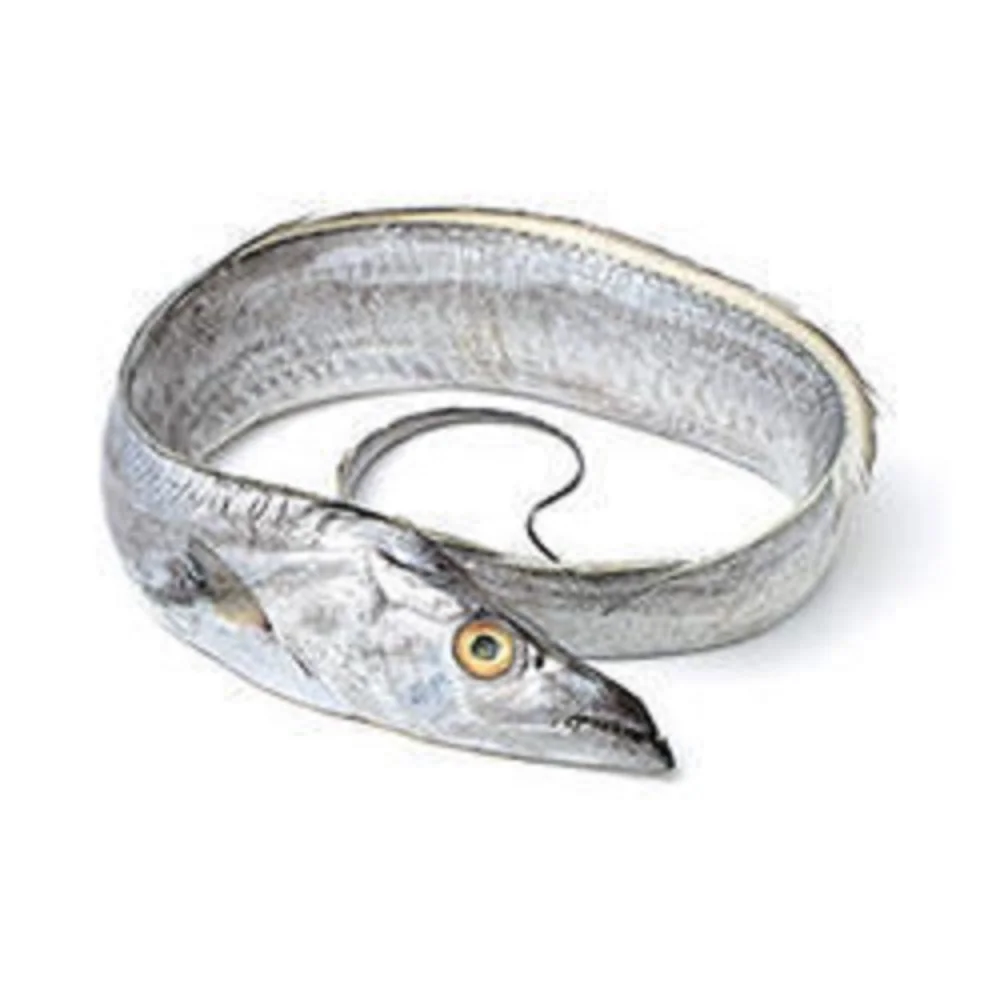 Frozen Ribbon Fish manufacturer supplier frozen ribbon fish supplier