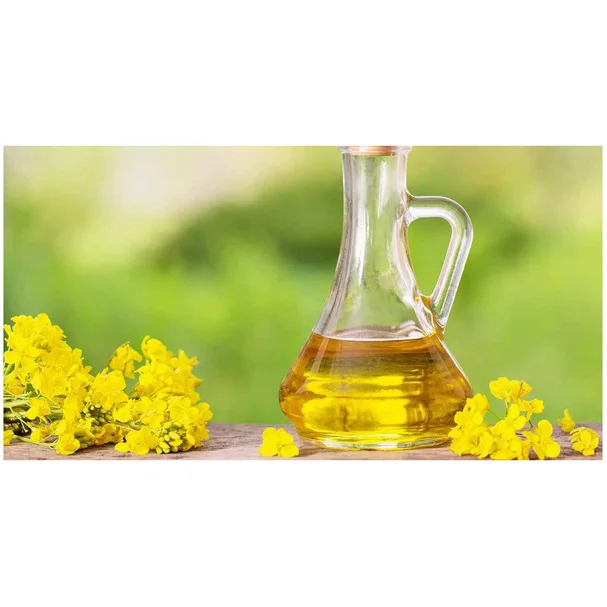 Rapeseed oil Certified Organic 100 % Pure Refined Rapeseed Oil / Canola Oil / Crude degummed ra
