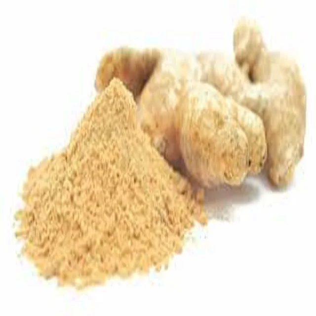 Factory Supply Ginger Root Extract Powder 100% Ginger Extract Ginger Extract Powder