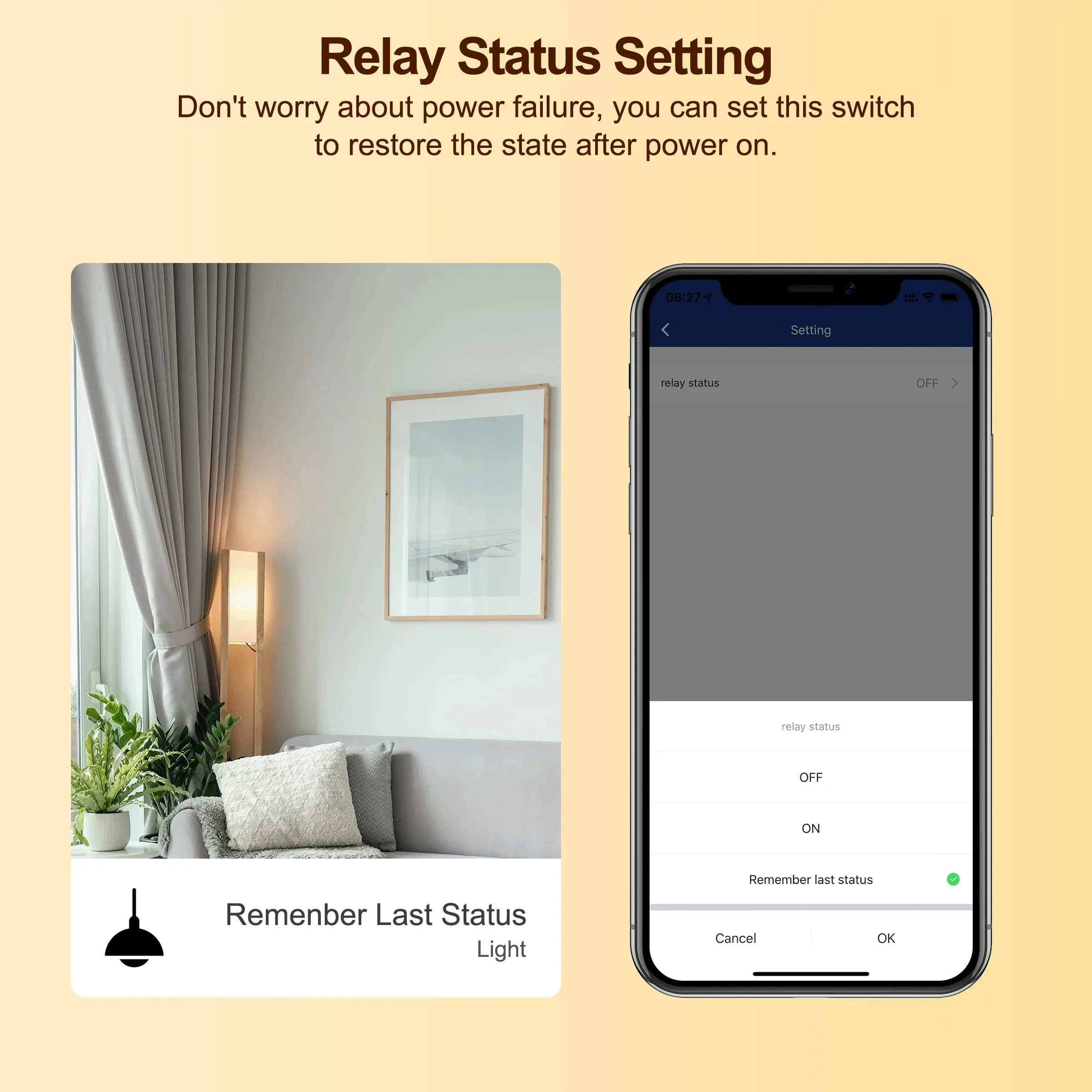 New 2 Channel Wifi Smart Light LED Dimmer Module Work with  Alexa/Google Assistance PST-D02
