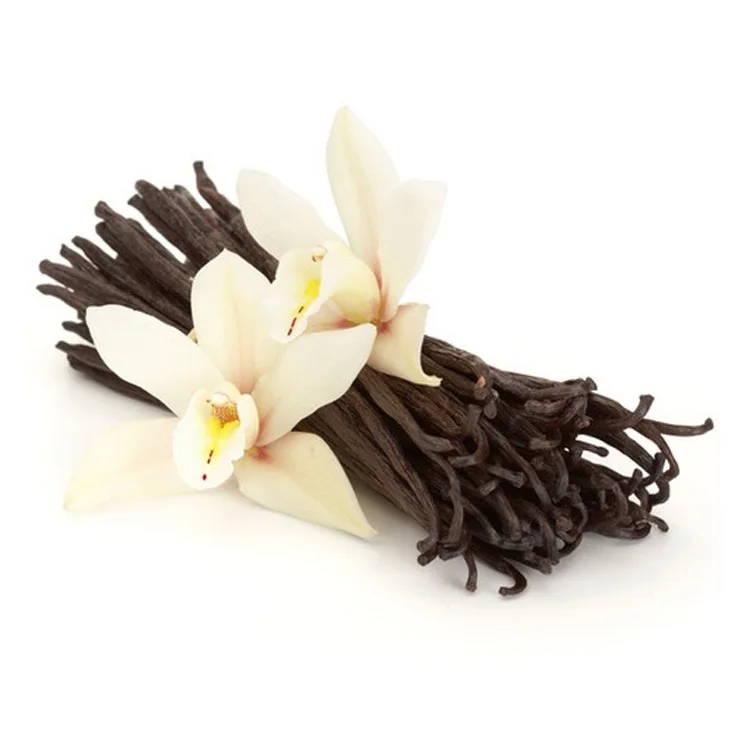 Wholesale Madagascar Vanilla Beans - Whole Extra Grade Gourmet Vanilla Pods 16.5cm Long