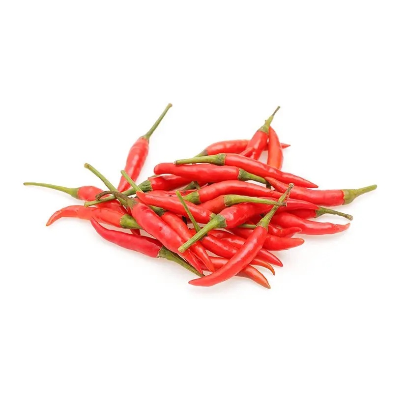 Multi usage for cooking 2 years package quality shelf life raw processing type chili Dried Red Chili from Vietnam