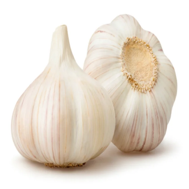 5.5cm natural fresh normal white garlic price for wholesale 3p/4p/5p/6p China garlic exporter factory fresh garlic