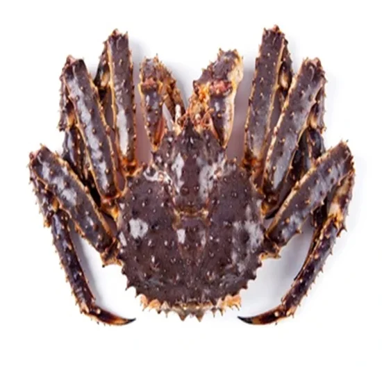 Top Quality FRESH SEAFOOD, Frozen King Crab For Sale, Live King Crabs at good discount Prices