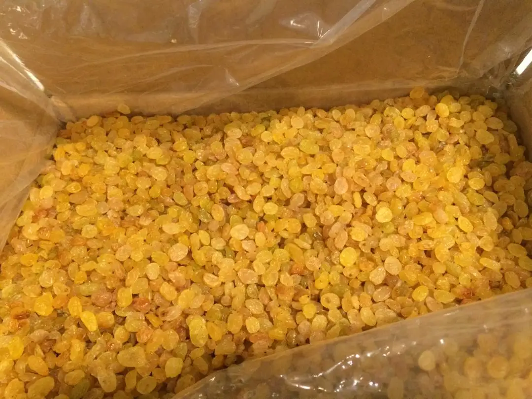 Best Organic Raisins Fruit Dried Ready for Export