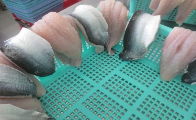 Nutritious Frozen Pangasius Fillet/ Basa Fish Fillet Premium well-trimmed Good Price Bulk Packing