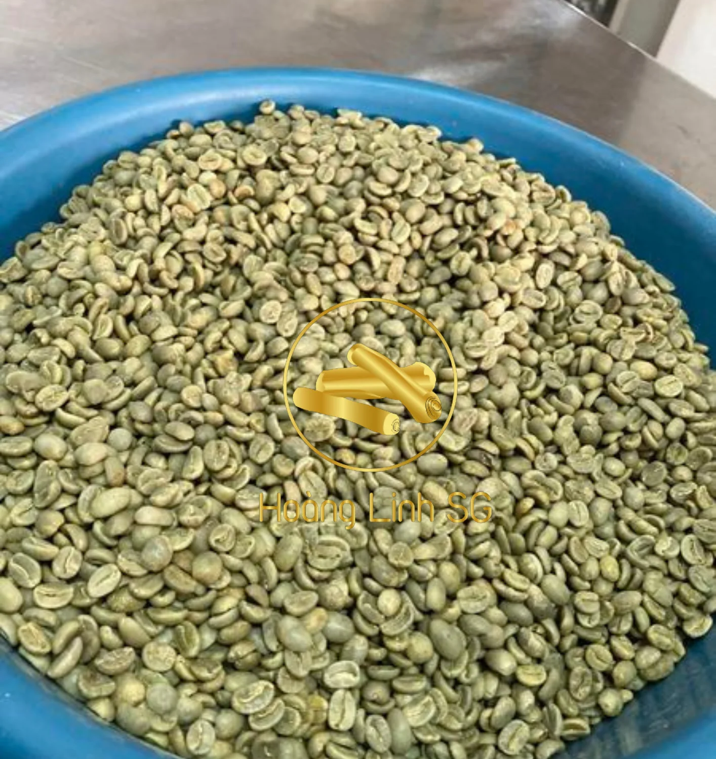 Arabica Green Coffee Bean Brand Supplier Hot Selling Whole Good Price for Export in VN HOANG LINH SG Kimy +84938616