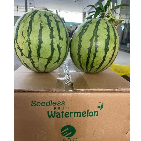 Latest Arrival 2024 High Quality Material Factory Price Fresh Watermelon From Thailand Ready To Ship