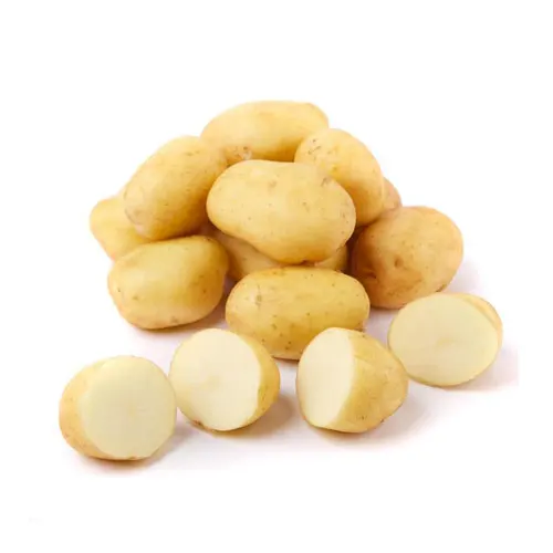 New 2019 Style Time GLOBAL Organic GAP Weight Origin Type Shandong Shape Potato Size Year Supply Product Fresh Place Model HACCP