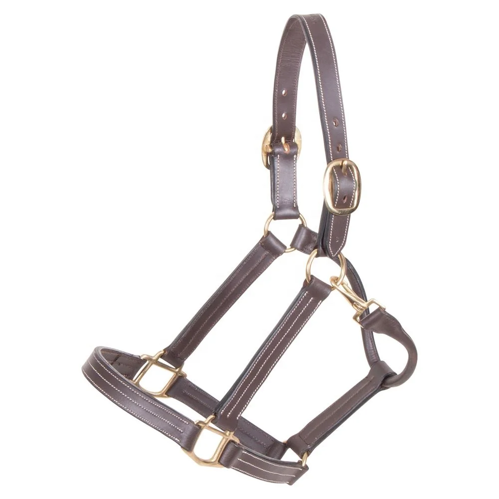 Top quality 100% Genuine leather horse halter at best price Anatomic Leather Halter