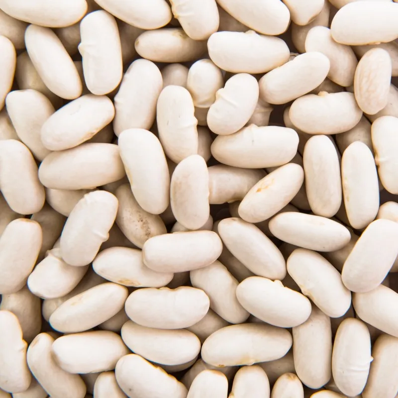 High Quality Made In Italy La Doria Cannellini beans in easy-open cans 24x400g Steamed Processing For Export