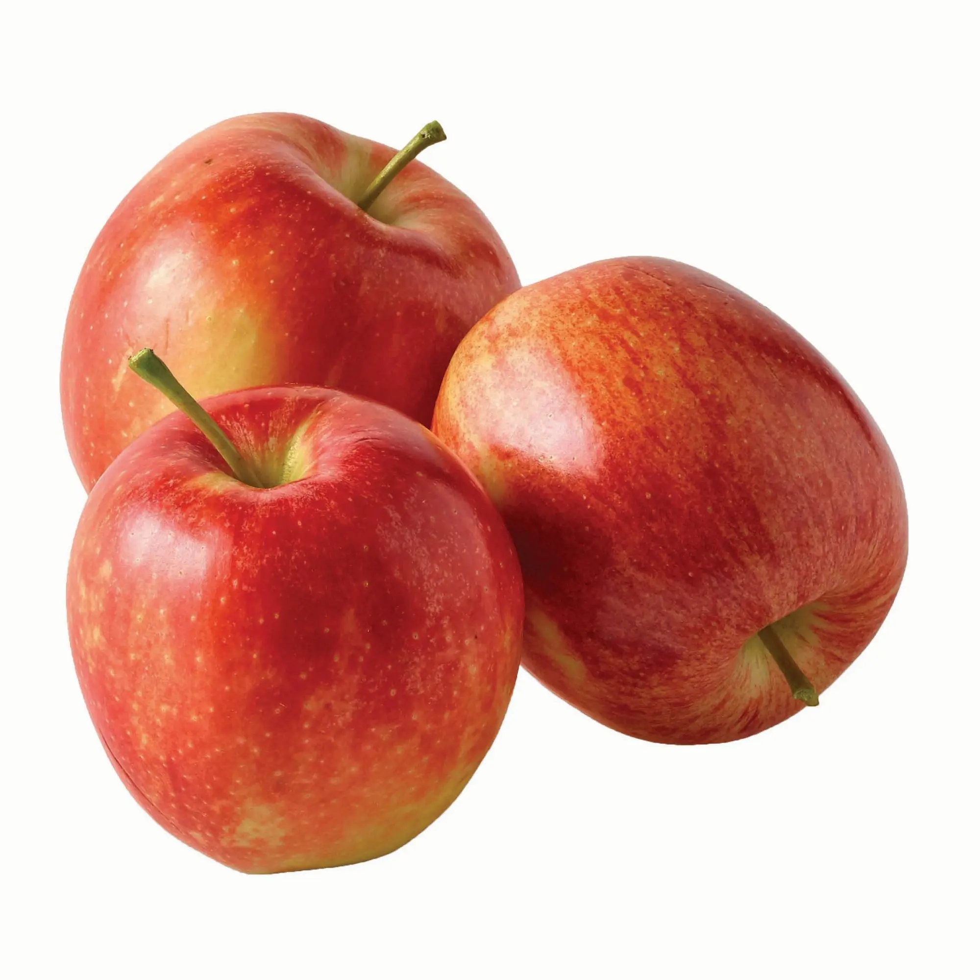 Wholesale Fresh Red Fuji Apple