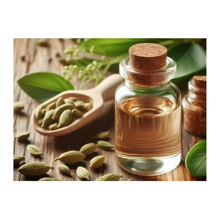 Manufacturer and Supplier of Premium Quality Pure and Natural Cardamom Extra Absolute Oil for Food & Cosmetic Industry