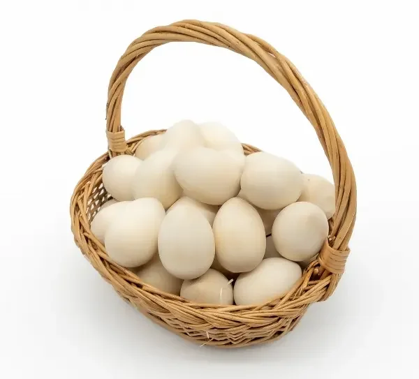 Best Quality Fresh Brown Table Chicken Eggs Cheap Fresh Chicken Table Eggs Fresh Chicken in bulk Brown Eggs from Brazil