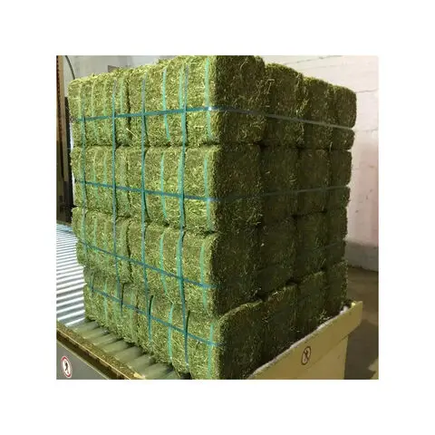 Экспорт сена люцерны