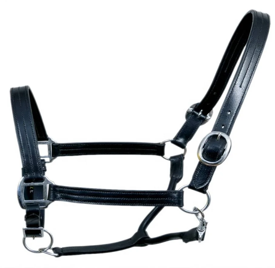 High Quality Outdoor Sports Horse Riding Equipment Adjustable Horse Halter Horse Bridle New Nylon Head Collar