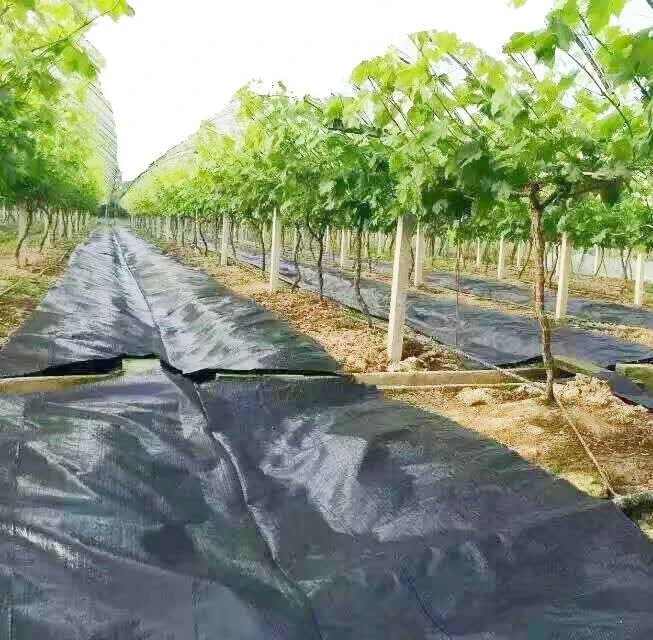 Factory Low Price Soil Erosion Control and UV Stabilized Prevent Grass Growth Ground Cover Landscape Fabric
