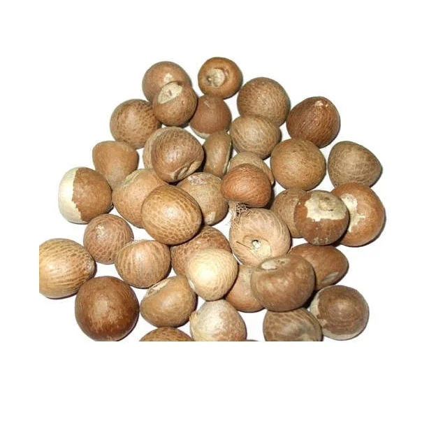 Wholesale price high quality raw betel dried indonesia betel nuts areca nut