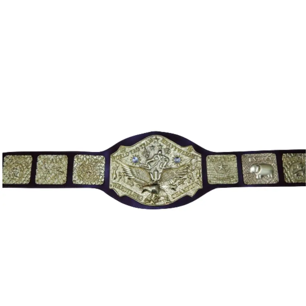 World Tag Team Heavyweight Wrestling Champion  world tag team championship history  wwe world tag team champions belts