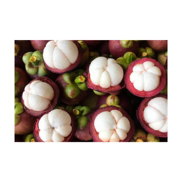 Fresh Mangosteen Thai  Fruit, New Fresh Arrival Extract, High Quality Tropical Fruits For Export