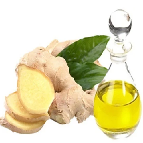 Wholesale Top Grade Massage Oil Ginger Pure Ginger Essential Oil Manufacturer