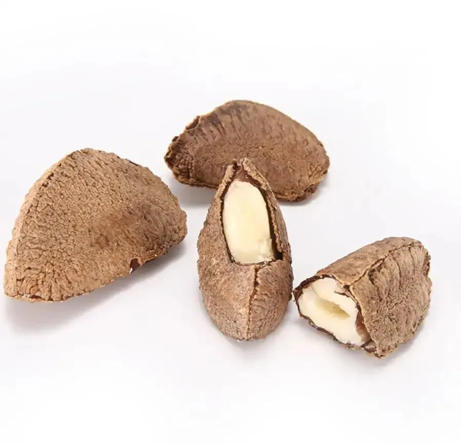 Premium Quality Brazil Nuts Natural Raw Shelled | Medium Large Extra Large Sizes | Roasted Nuts | Edible
