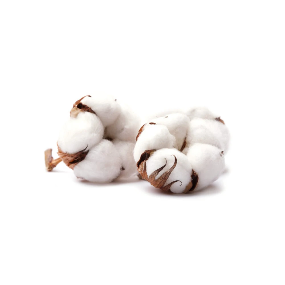 Оптовая продажа, 100% органическое сырье хлопка для швейной промышленности, покупайте у ведущих по доступной цене