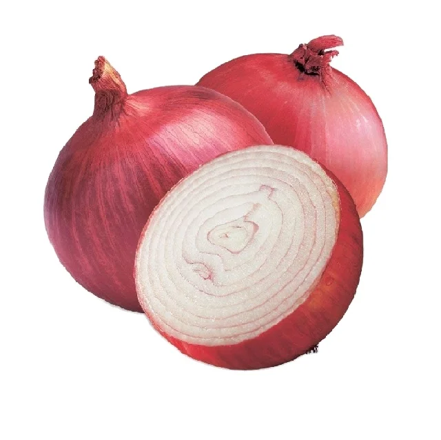 indian Fresh Red Onion with good price for export Onion With Price fresh vegetable No1 Most popular in Fresh Onions From Indian