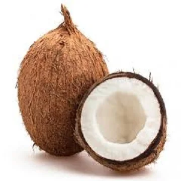 Fresh Young Coconuts Special Product With High Quality
