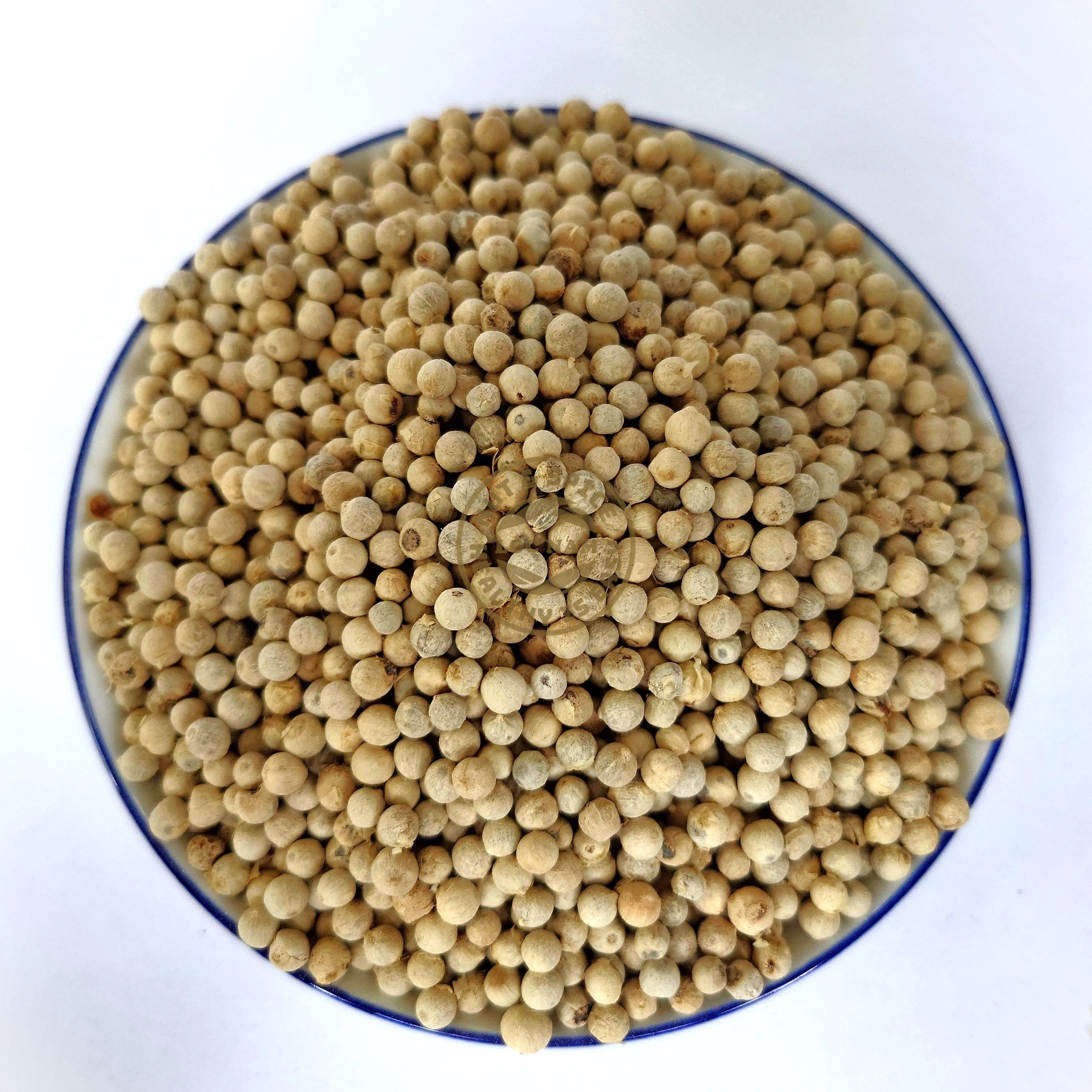 Wholesale Cheap Price Pepper Spices & Herbs Products High Quality White Pepper Vietnam origin