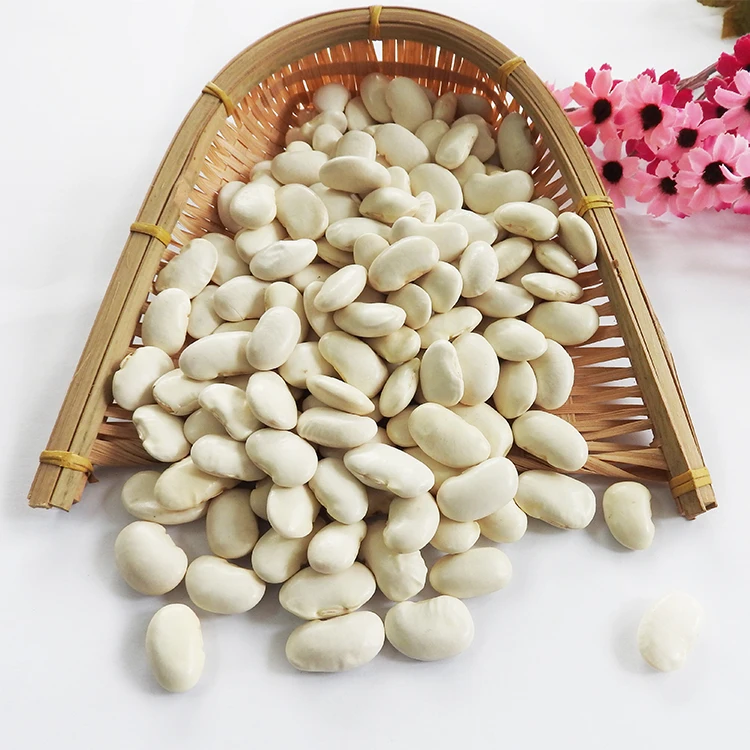 White kidney beans large size 2020 new crop white kidney beans wholesale
