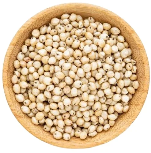 Organic Sorghum  Indian Sorghum/ White and Red Sorghum High Quality For Sale NOw