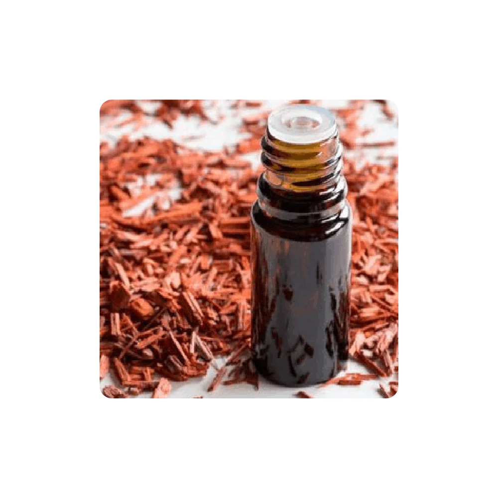 Indian Supplier Pure Natural Sandalwood Oil Professional Supplier Sandal Wood Oil Massage Oil
