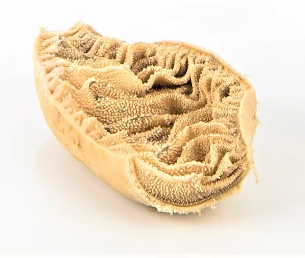 Top Selling Dried Certified Quality Frozen Beef Omasum/Processed Omasum/Salted Omasum