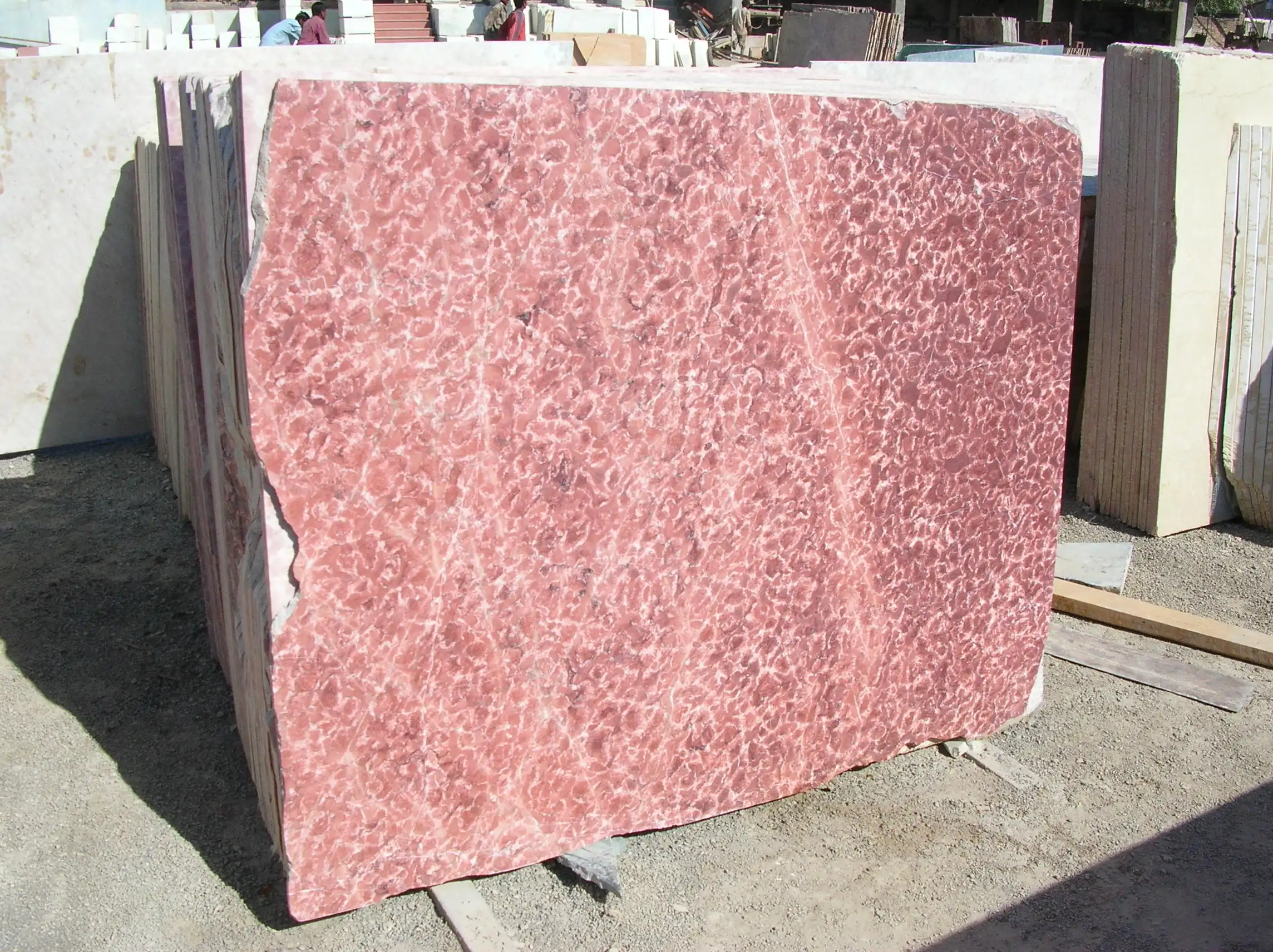 Natural Marble Stone Tiles Contemporary Design Style Dolomite Marble High Durability Very reasonable price