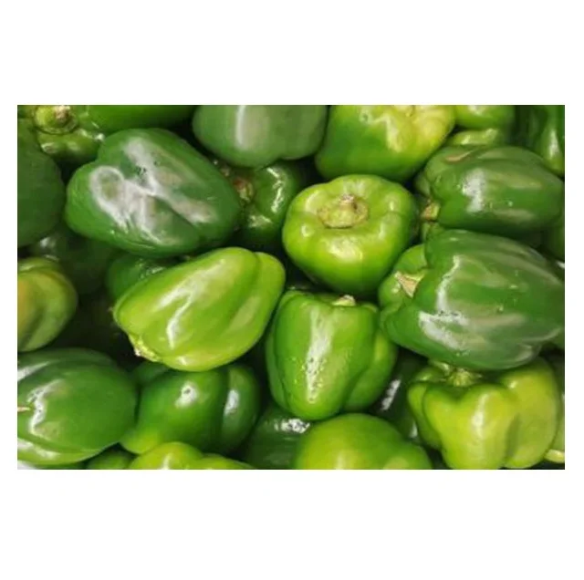 Fresh egyptian capsicum fresh bell pepper egypt high quality fresh sweet pepper cheap price 100% Natural