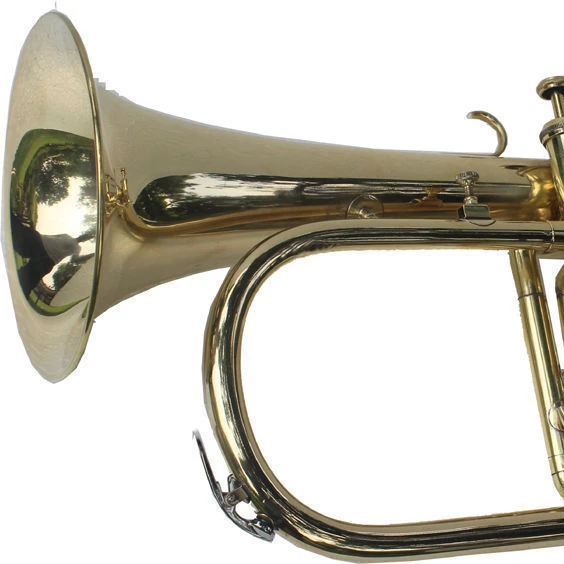 New Flugel horn 3 Valve Bb Pitch Brass With HardCase and Mouthpiece Premium Quality Brass Musical Instrument by SONOROUS EXPORTS