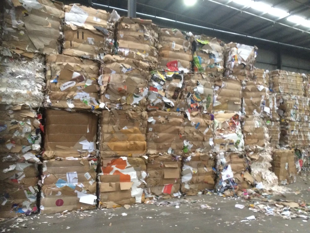 White Sorted Office (SOP) and Old News Paper (ONP) Waste Scrap Grade 11 OCC Bulk Scrap for Office and Corrugated Containers